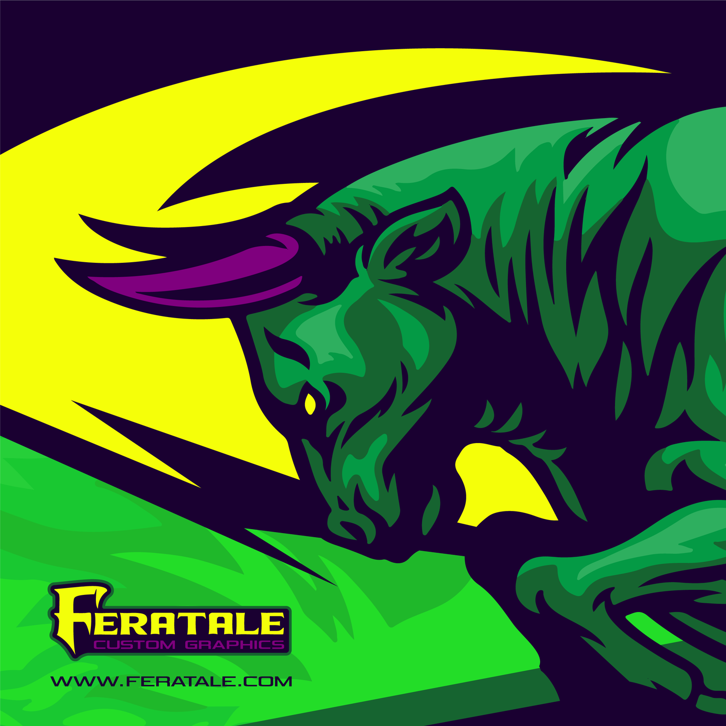 Full Custom - Graphic kits