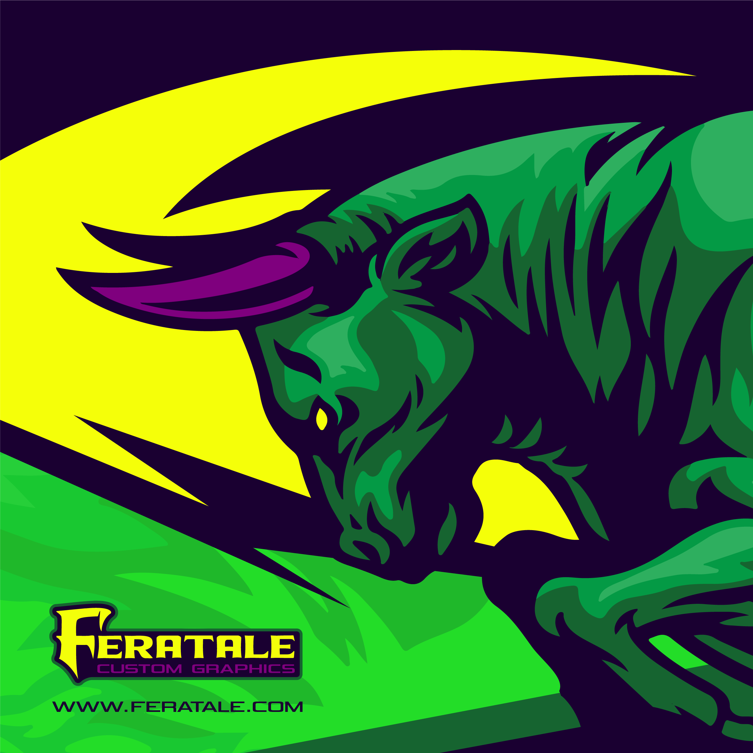 Full Custom - Graphic kits