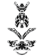 Tribal - SFT Helmet Graphics